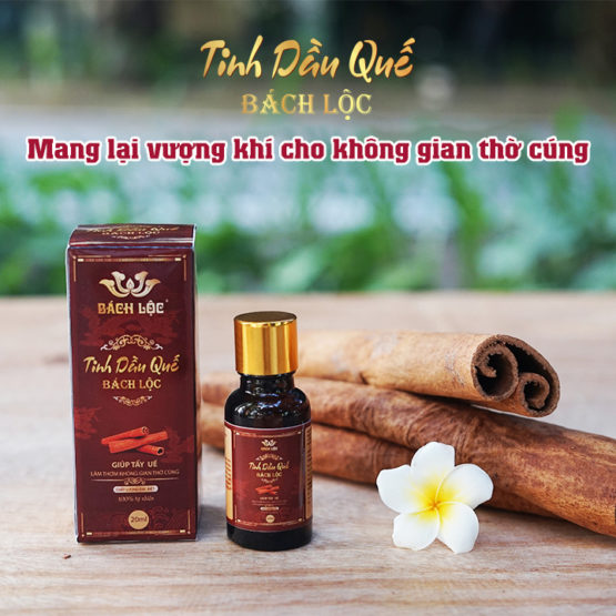 Tinh dầu quế Bách Lộc